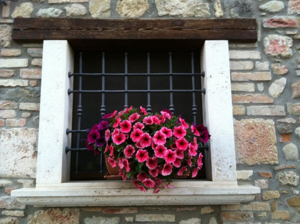 Agriturismo La Cantina Ascoli Piceno Luaran gambar